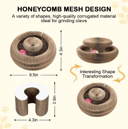 🐱The Ultimate Cat Playground & Cozy Bed – All in One!🛌