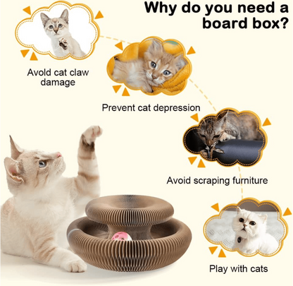 🐱The Ultimate Cat Playground & Cozy Bed – All in One!🛌