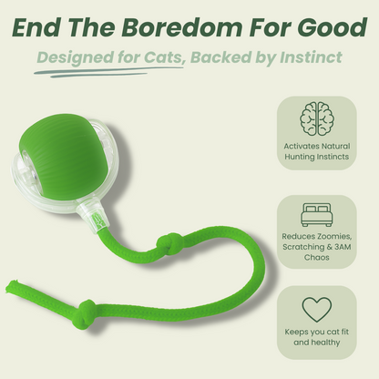 🔥Last Day 49% OFF 🐾 Smart Self-Rotating Interactive Pet Ball