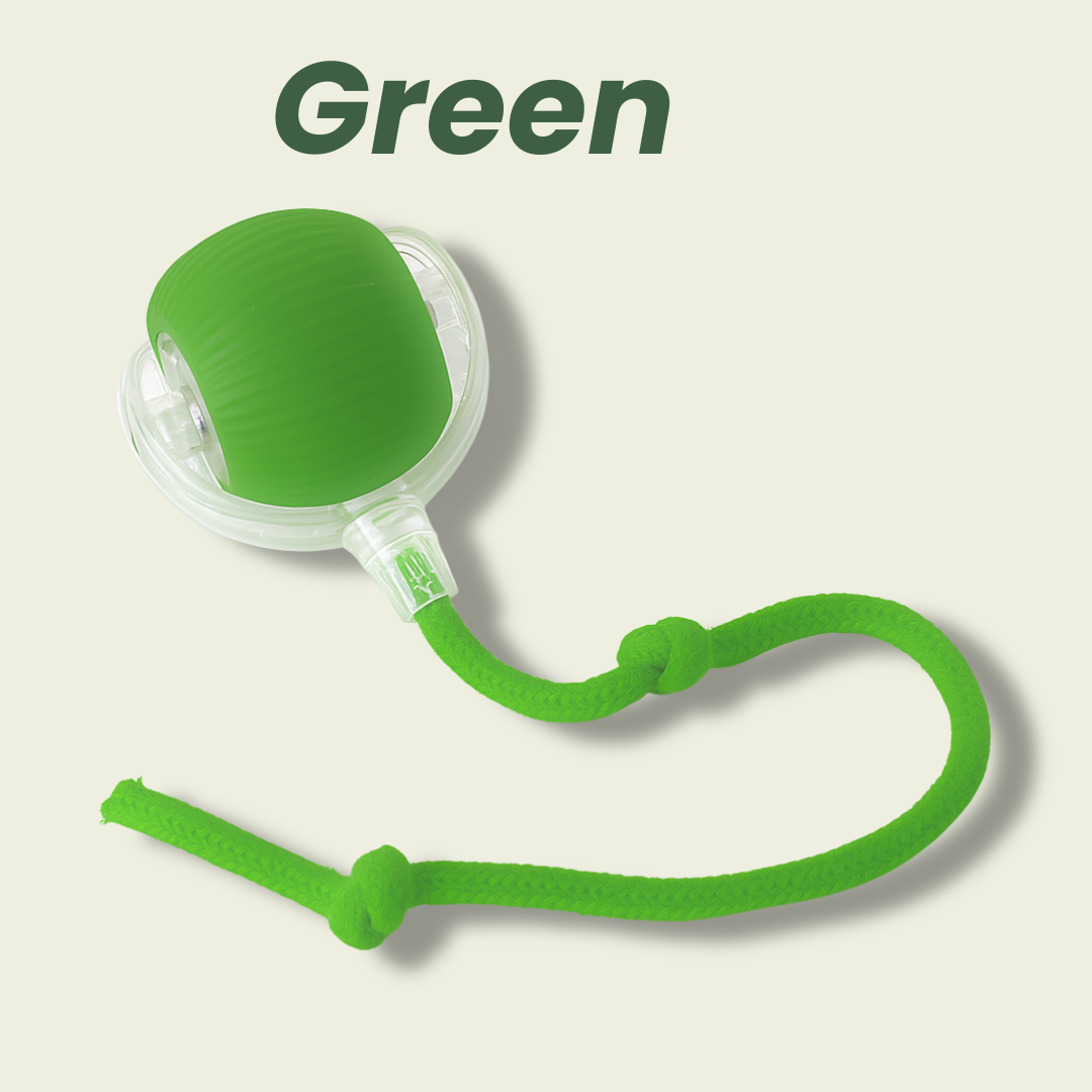 🔥Last Day 49% OFF 🐾 Smart Self-Rotating Interactive Pet Ball