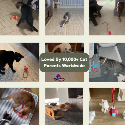 🔥Last Day 49% OFF 🐾 Smart Self-Rotating Interactive Pet Ball