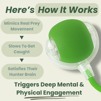 🔥Last Day 49% OFF 🐾 Smart Self-Rotating Interactive Pet Ball