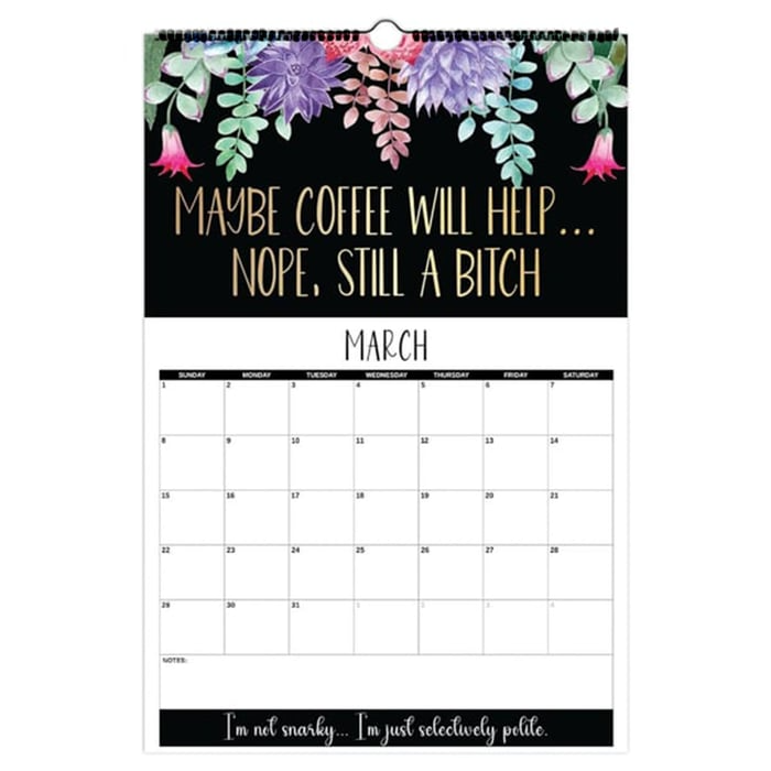 🗓️Here We F*cking Go Again: 2026 Swear Calendar for Tired-Ass Women