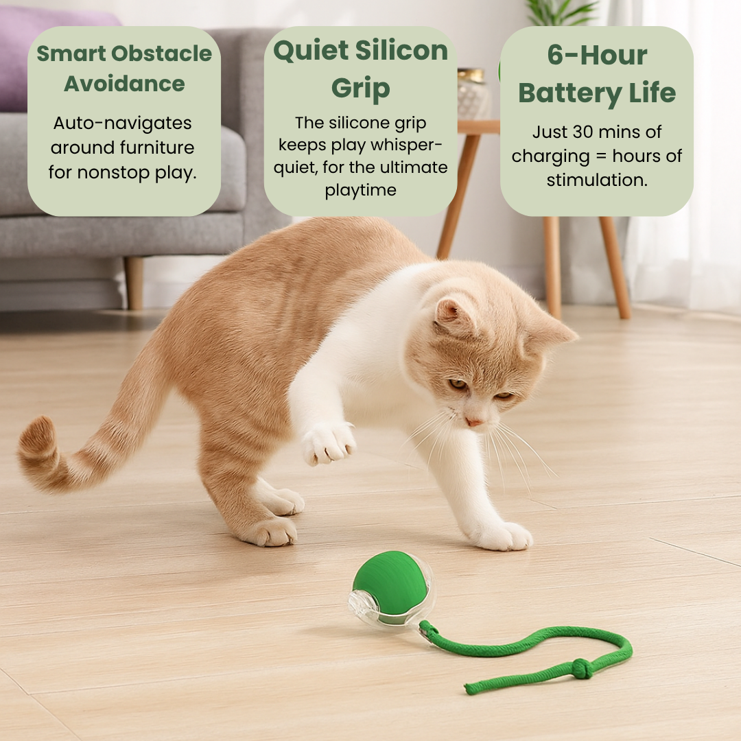 🔥Last Day 49% OFF 🐾 Smart Self-Rotating Interactive Pet Ball